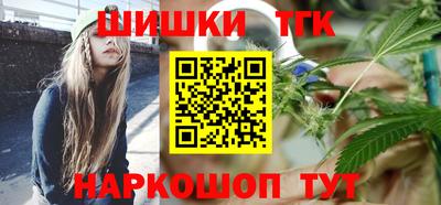 индика Гай