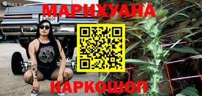 индика Гай