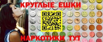 индика Гай