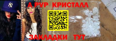 индика Гай