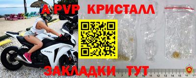 индика Гай