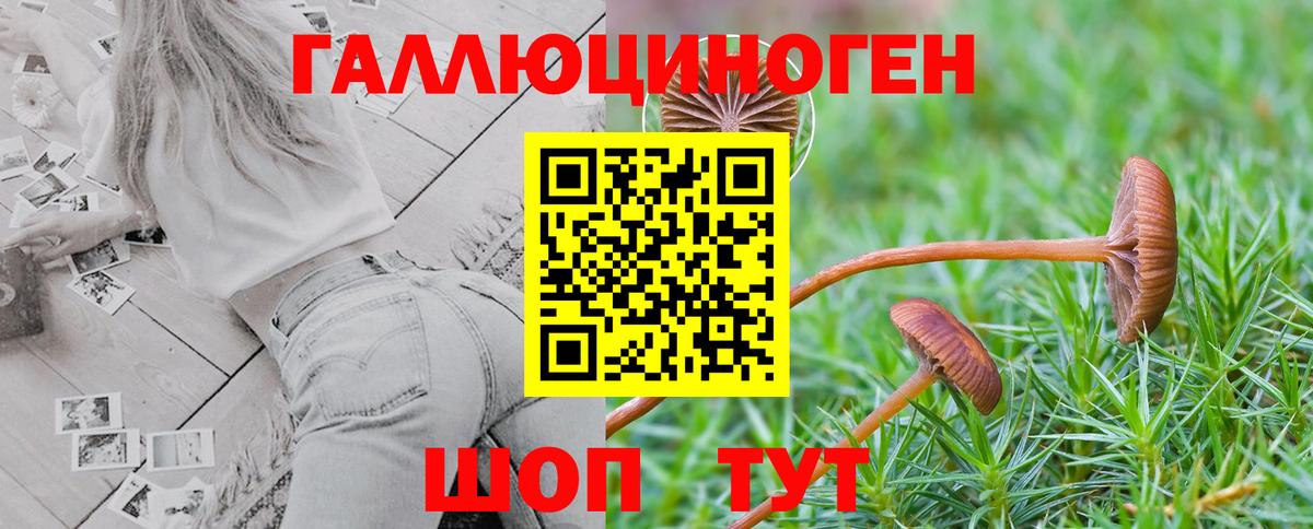 Галлюциногенные грибы MAGIC MUSHROOMS Всеволожск